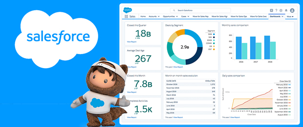 salesforce admin