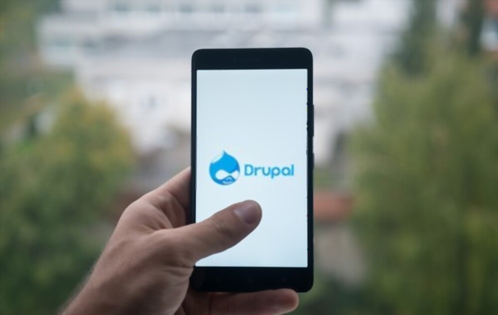 Drupal Development Company